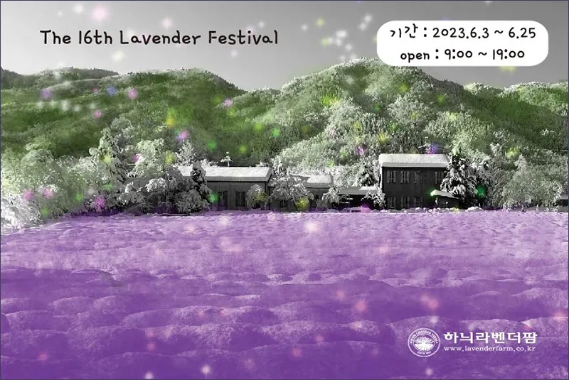 하늬팜 라벤더 축제 (강원도 고성)